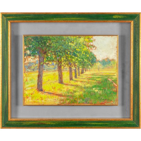 GIUSEPPE SACHERI (1863-1950) <br>Gelsi<br>olio su 