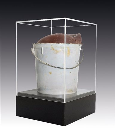 CÉSAR - Essai d'expansion, 1968