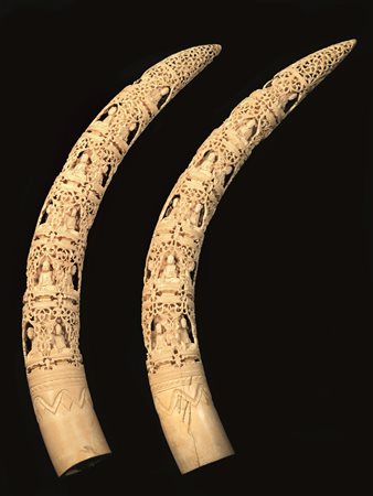 DUE ZANNE, AREA INDIANA SEC. XIX in avorio finemente intagliate e lavorate al...