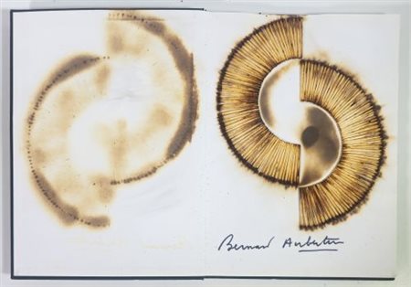 Bernard Aubertin "Livre Brûlé Rosenberg"
