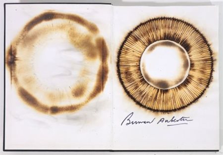 Bernard Aubertin "Livre Brûlé Rosenberg"