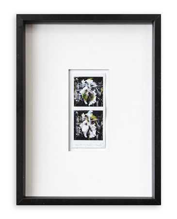 MAURIZIO GALIMBERTI (1956) - Biflowers