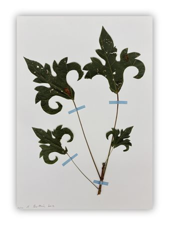 REGULA DETTWILER (1966) - Senza Titolo, 2012