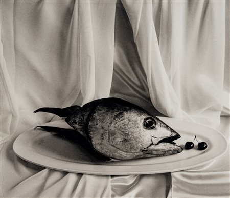Flor Garduño (1957)  - Composicion en blanco, Suiza, 2007
