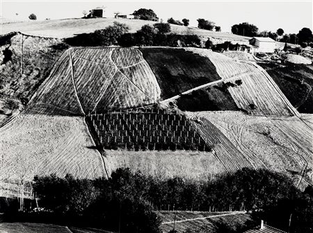 Mario Giacomelli (1925 - 2000)  - Presa di coscienza sulla natura, 1975/1985