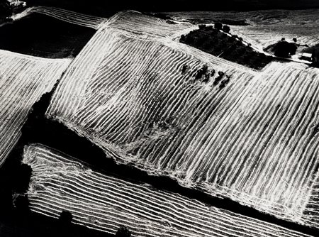 Mario Giacomelli (1925 - 2000)  - Presa di coscienza sulla natura, 1978