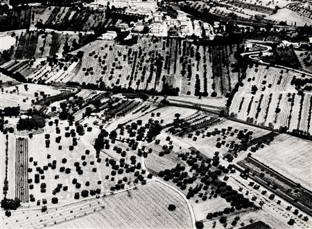 Mario Giacomelli (1925 - 2000)  - Presa di coscienza sulla natura, 1975/1985
