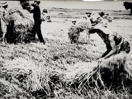 Mario Giacomelli (1925 - 2000)  - Storie di terra , 1955/1980