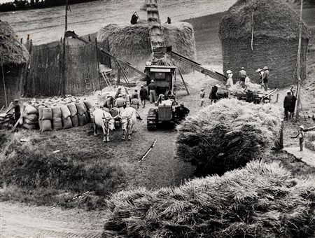 Mario Giacomelli (1925 - 2000)  - La buona terra, 1964/1966