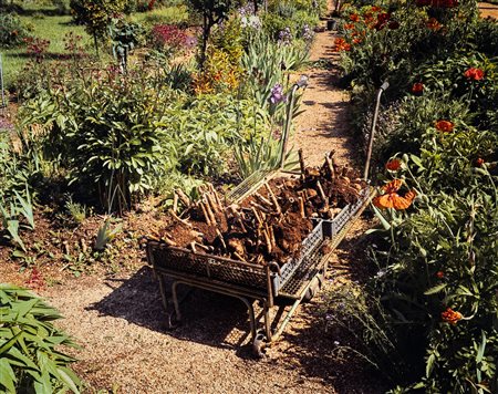 Stephen Shore (1947)  - Giverny #17, 2002