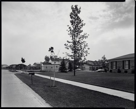 Nicholas Nixon (1947)  - Parrot Street, Troy, Michigan, 1976