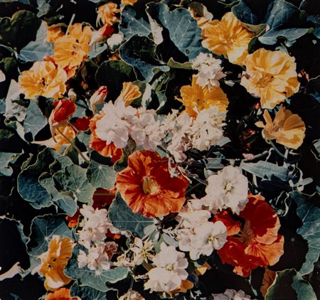 Arrigo Orsi (1897 - 1968)  - Tavolozza di fiori, 1960s