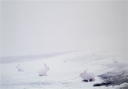 Andrea Galvani (1973)  - Senza titolo, 2007