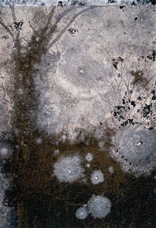Joan Fontcuberta (1955)  - Trauma #9178, 2022