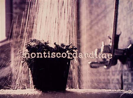 Grazia Toderi (1963)  - Nontiscordardime , 1993