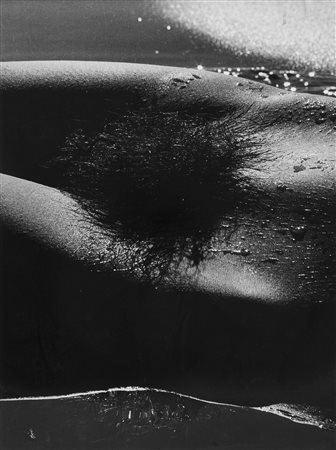 Lucien Clergue (1934 - 2014)  - Genèse, Camargue, 1962