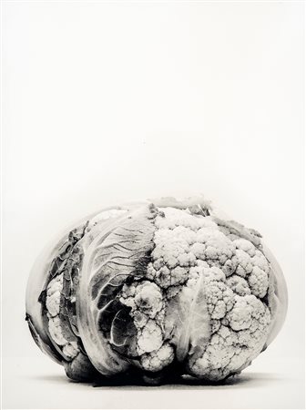 Giovanni Gastel (1955 - 2021)  - Senza titolo (Cavolfiore), 1990s/2000s