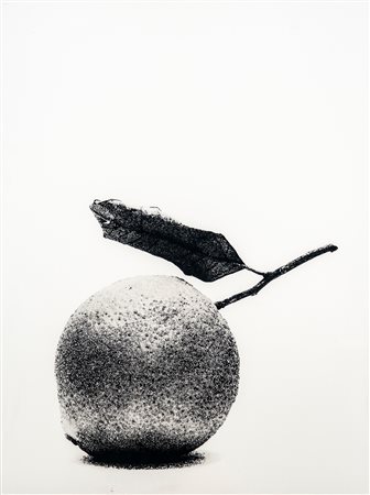 Giovanni Gastel (1955 - 2021)  - Senza titolo (Mandarino), 1990s/2000s