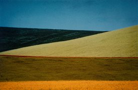 Franco Fontana (1933 - 2026)  - Paesaggio, 1978