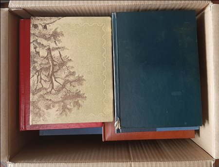 Lotti e Collezioni - Collezioni e Miscellanee - SCATOLA SORPRESA