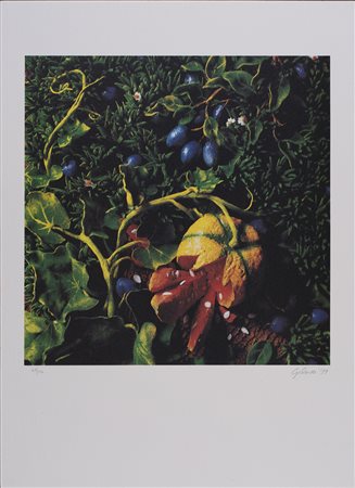 PIERO GILARDI (1942)Prugne con zucca, 1997 Litografia su carta Fabriano...