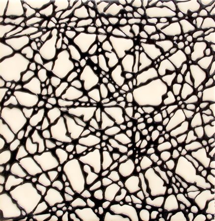 NIDO Davide, Cellulare