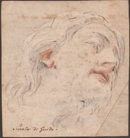 Guido Reni (scuola di) (Bologna , 1575 - 1642) 
Studio per una testa virile 
 