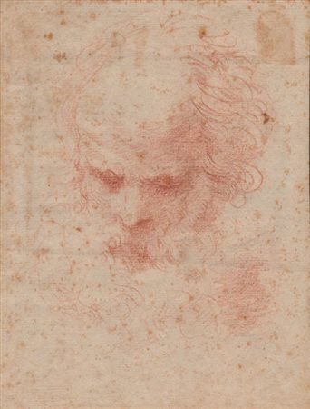  
Studio per testa virile artista bolognese del XVII secolo
 