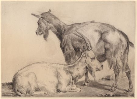 Francesco Londonio (attribuito a) (Milano, 1723 - 1783) 
Due capre 
 