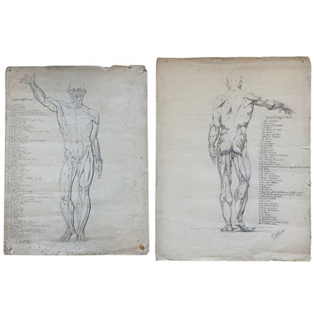  
Scorticati artista francese del XIX secolo
 