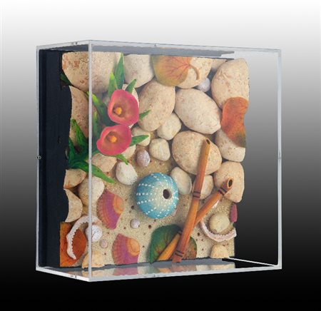 PIERO GILARDI - Riccio e fiori di spiaggia