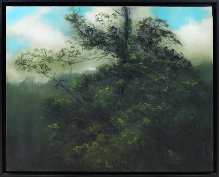 MASSIMILIANO ALIOTO - Naturale, 2009