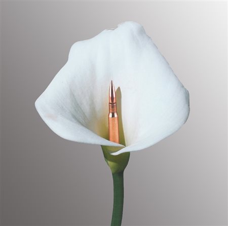 MARCHEGIANI PEP - Sarajevo Flower, 2017
