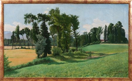 ADOLFO ROLLA - Giugno in Piemonte