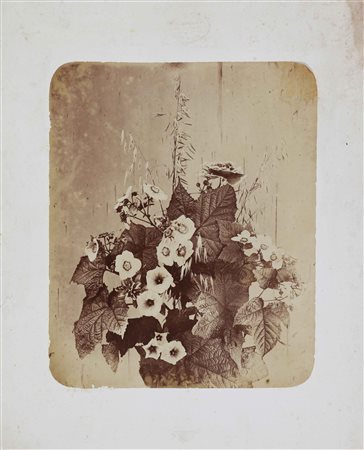 BRAUN ADOLPHE (1812 - 1877) Lotto composto da n. 3 stampe. Still life di...