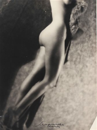 LUXARDO ELIO (1908 - 1969) Nudo, studio di gambe. Stampa alla gelatina...