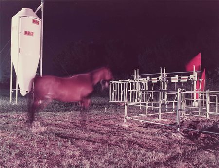 BARBIERI OLIVO (n. 1954) Reggio Emilia. 1988. Stampa C - print. Cm 38,40 x...