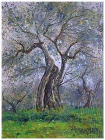 PIERO TONFONI Livorno 1944 – Livorno 2015 L’ulivo 2003 Olio su tavola 20 x...
