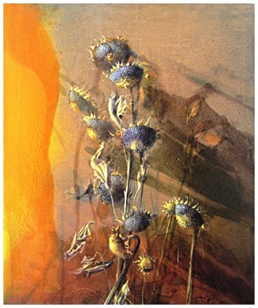 MARIO MADIAI Livorno 1944 Girasoli d’agosto Olio su tela 120 x 100. Firma in...