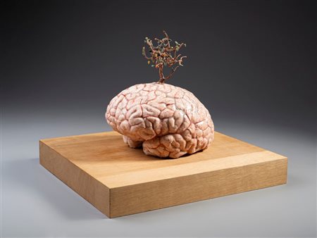 FABRE JAN (n. 1958) - EEN BREINBOOM (A BRAIN TREE) .