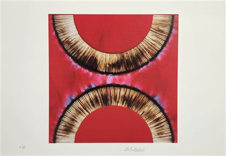 BERNARD AUBERTIN, 34 X 48 cm, Senza Titolo Litografia a colori Esemplare...