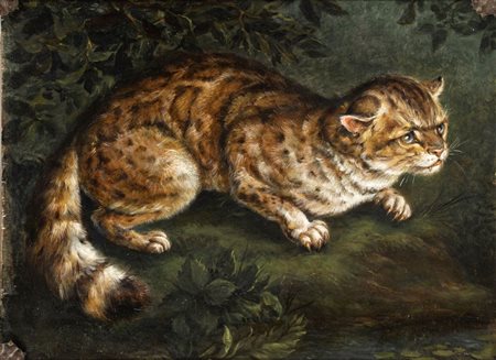  Henriëtte Ronner-Knip (Amsterdam 1821 - Ixelles 1909) Gatto selvatico Olio su tavola cm. 34,5x42,3. Con cornice