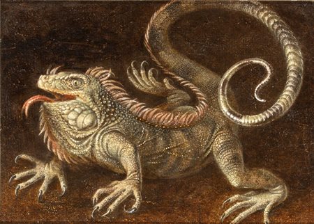 Artista nord-europeo, XIX secolo  
Iguana 
Olio su tela cm. 24,5x31,5 Con cornice