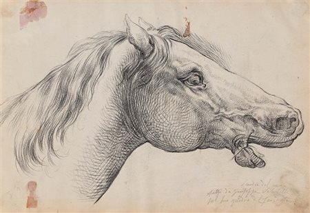 Giuseppe Sabatelli (Milano, 1813 - Milano, 1843) Studio di Testa di Cavallo...