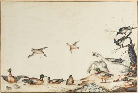 Nicolaas Struyk (Amsterdam, 1686 - Amsterdam, 1769) Veduta con uccelli...