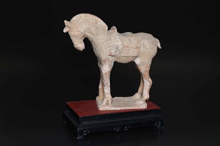 Arte Cinese Cavallo in terracotta policroma Cina, dinastia Tang, VII - IX...