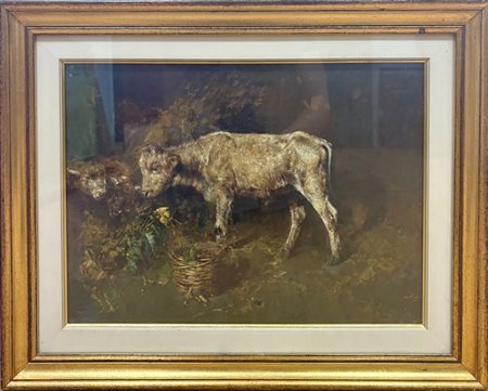 Tito Pellicciotti "Vitellino" 
olio su compensato (cm 29,5x40)
firmato in basso
