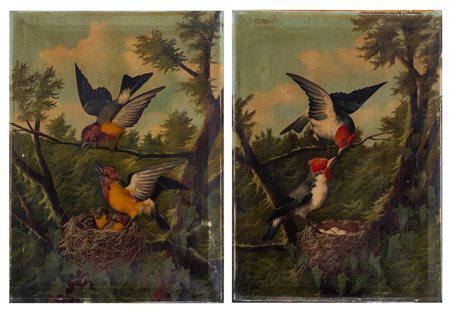 Michelangelo Meucci (Firenze 1840 - 1909)  - Uccellini nel nido
