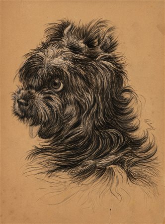 Attribuito a Filippo Palizzi (Vasto 1818 - Napoli 1899)  - Il nero maltese