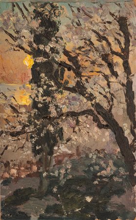 Odoardo Toscani (Roma 1859 - Smirna 1914)  - Tramonto sul cipresso